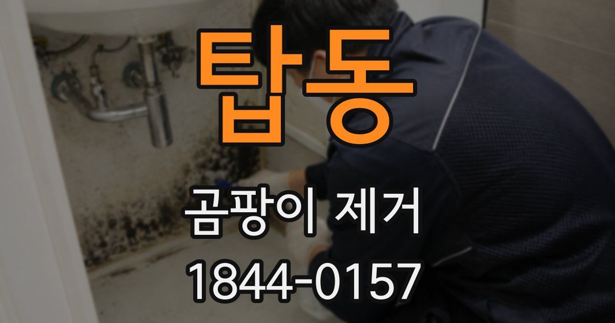 탑동 곰팡이 제거