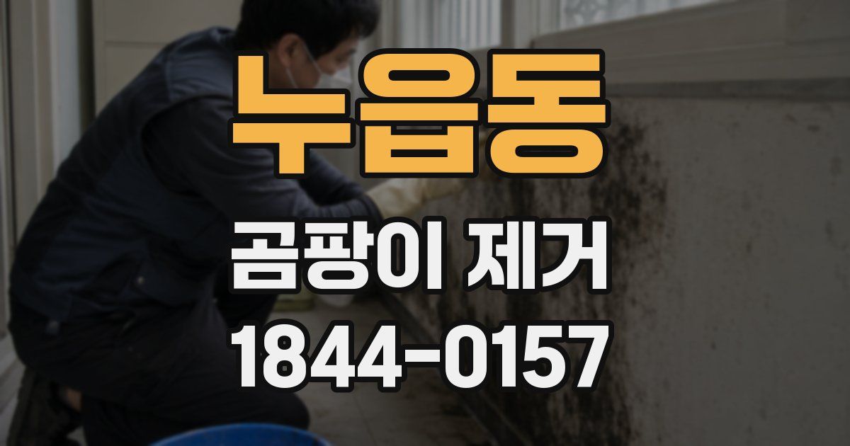 누읍동 곰팡이 제거