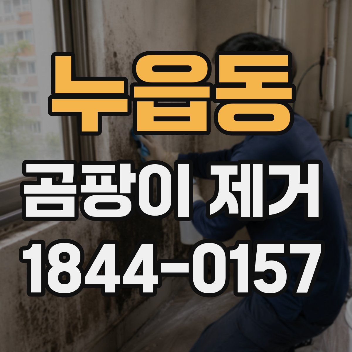 누읍동 곰팡이 제거