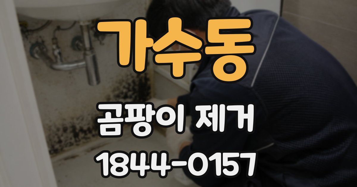 가수동 곰팡이 제거