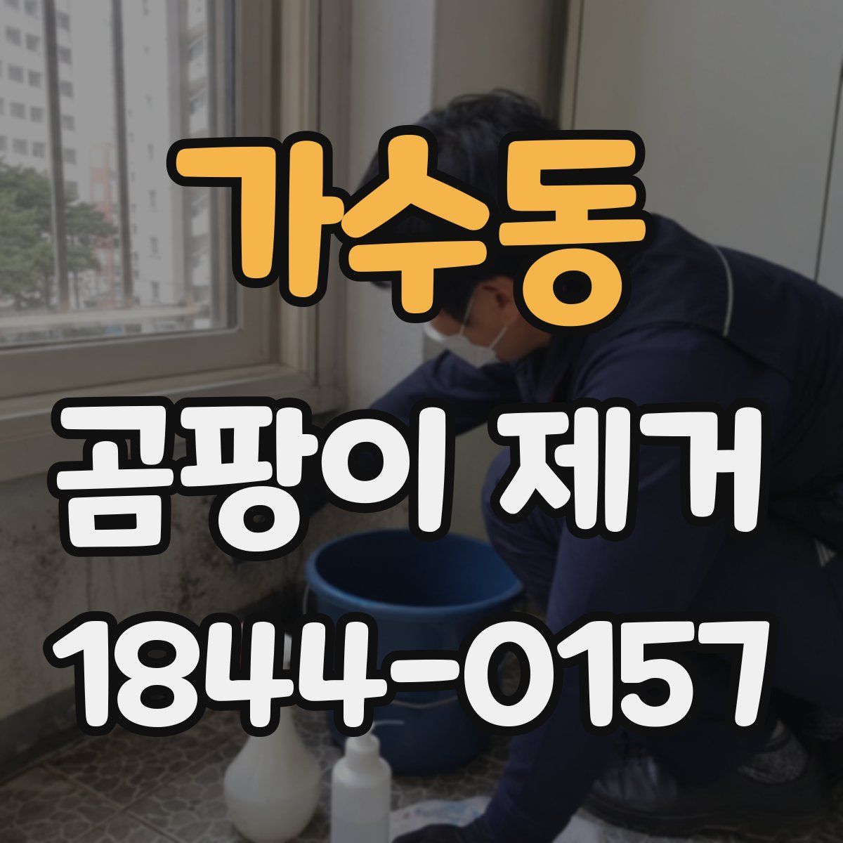 가수동 곰팡이 제거