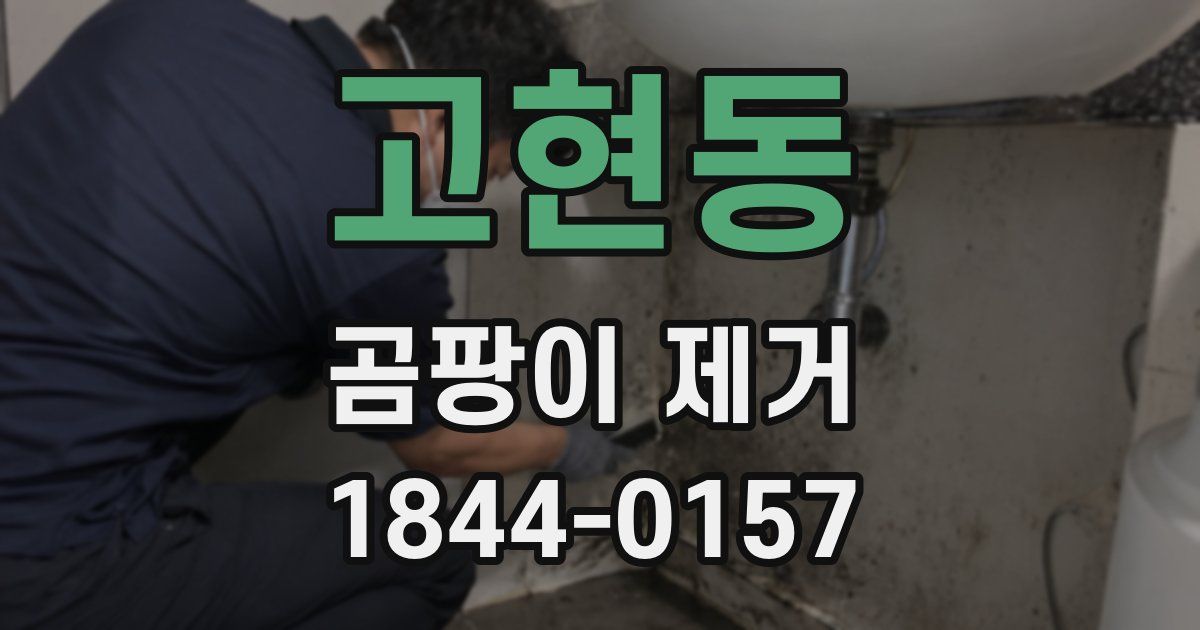 고현동 곰팡이 제거