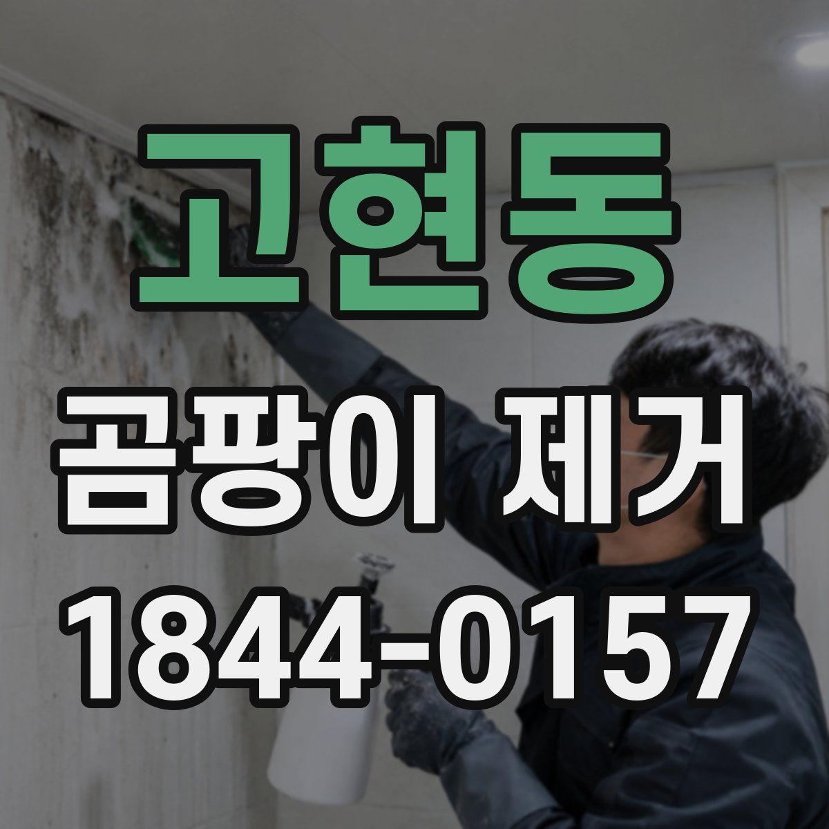 고현동 곰팡이 제거