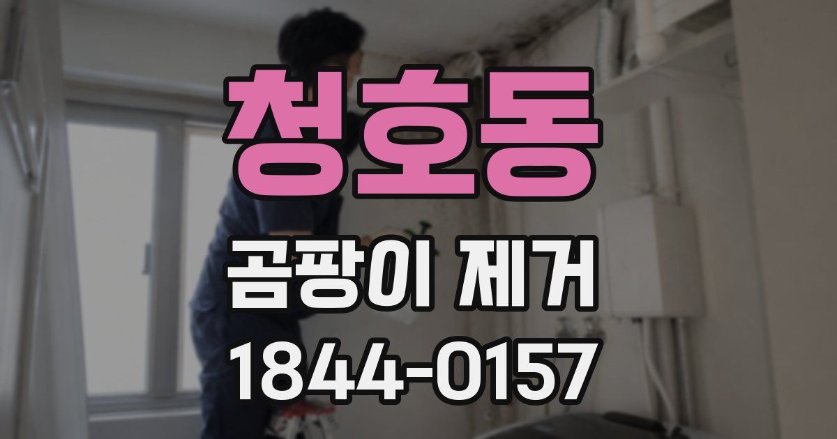 청호동 곰팡이 제거
