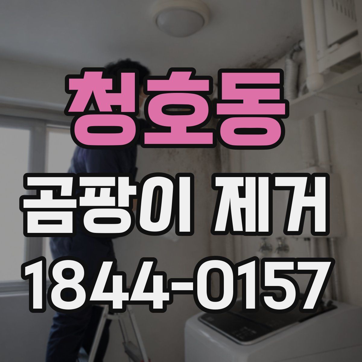 청호동 곰팡이 제거