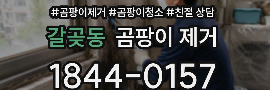 갈곶동 곰팡이 제거