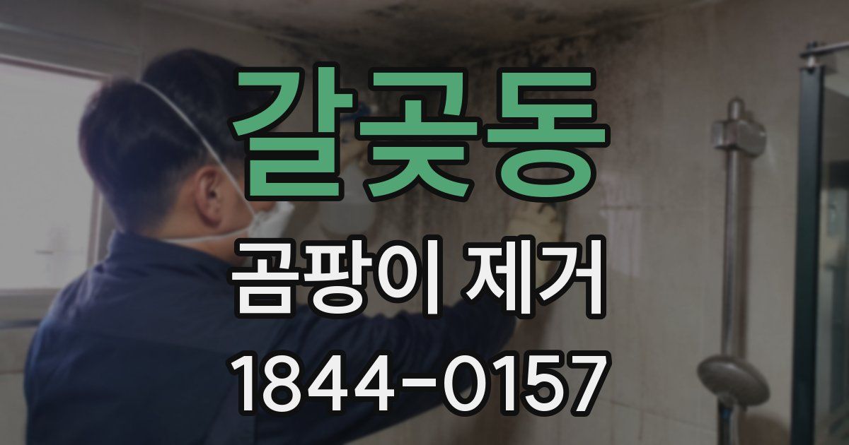 갈곶동 곰팡이 제거
