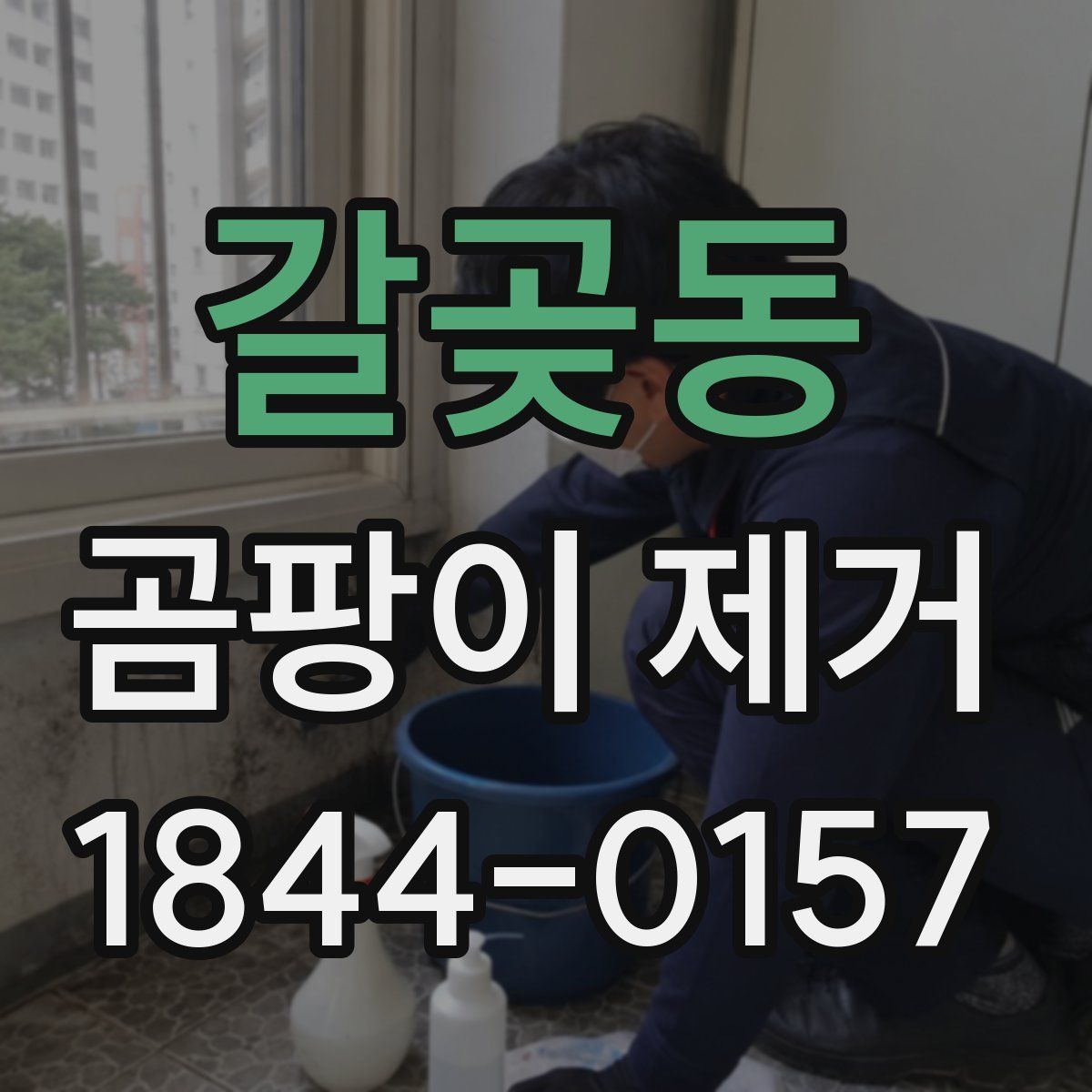 갈곶동 곰팡이 제거