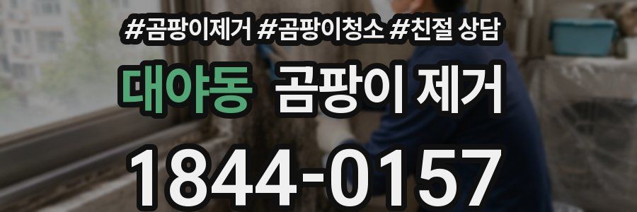 대야동 곰팡이 제거