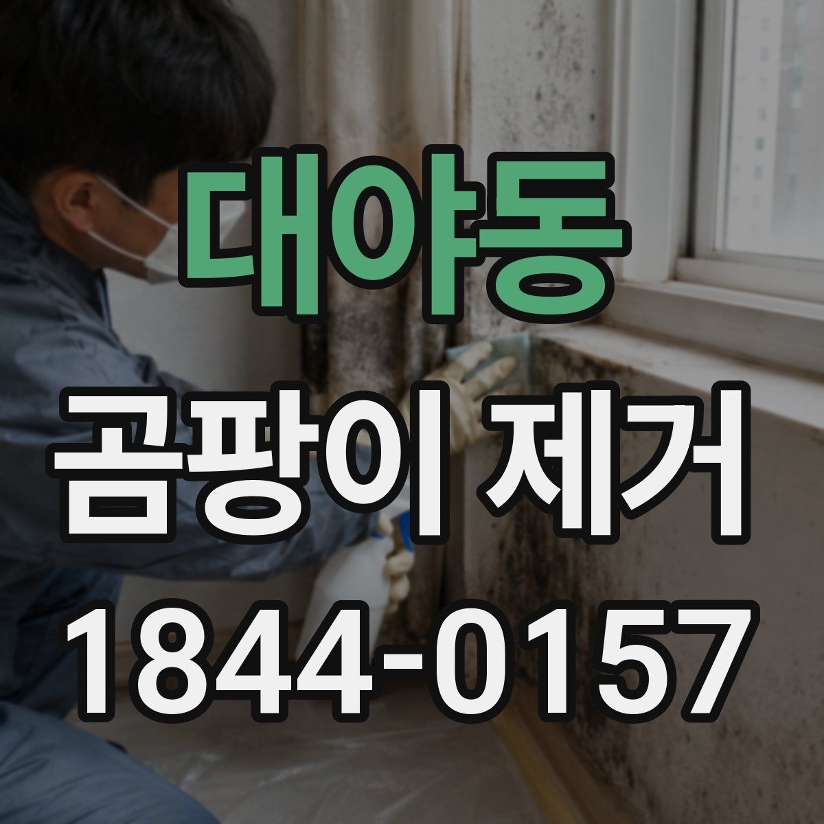 대야동 곰팡이 제거