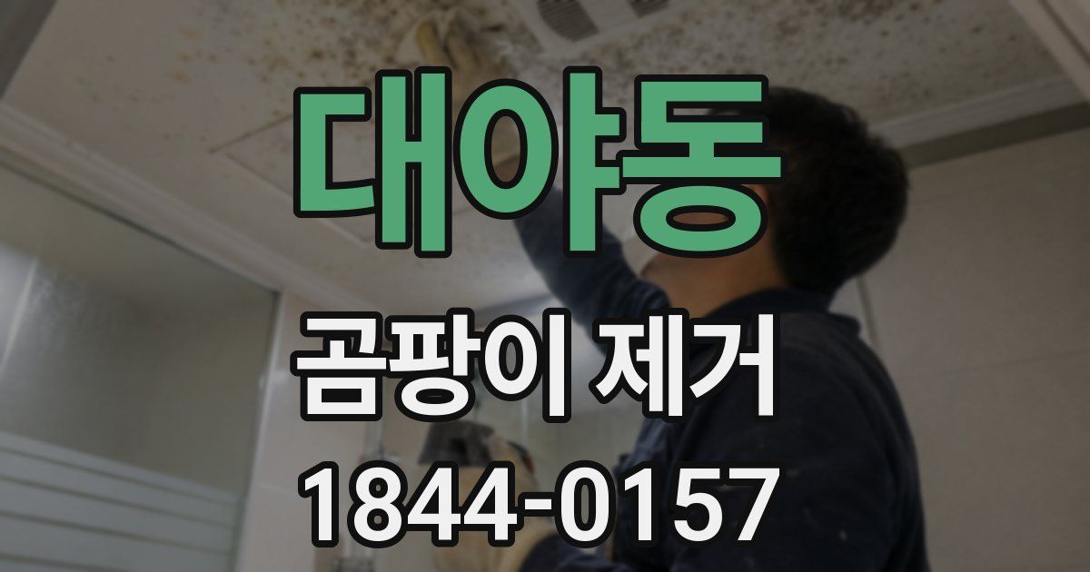 대야동 곰팡이 제거