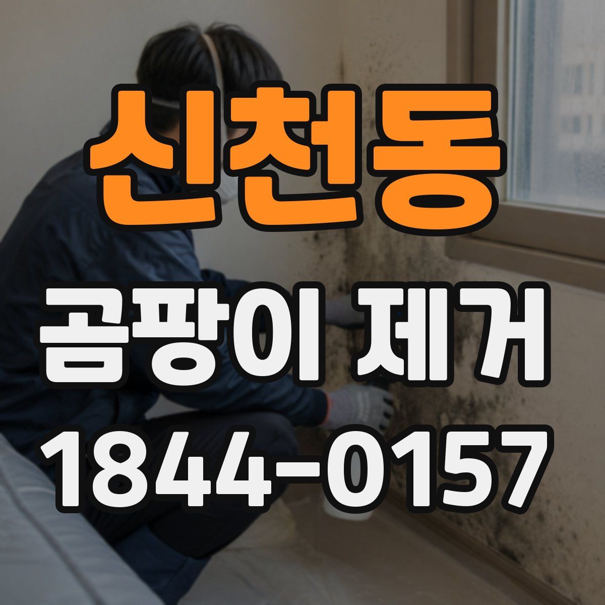 신천동 곰팡이 제거