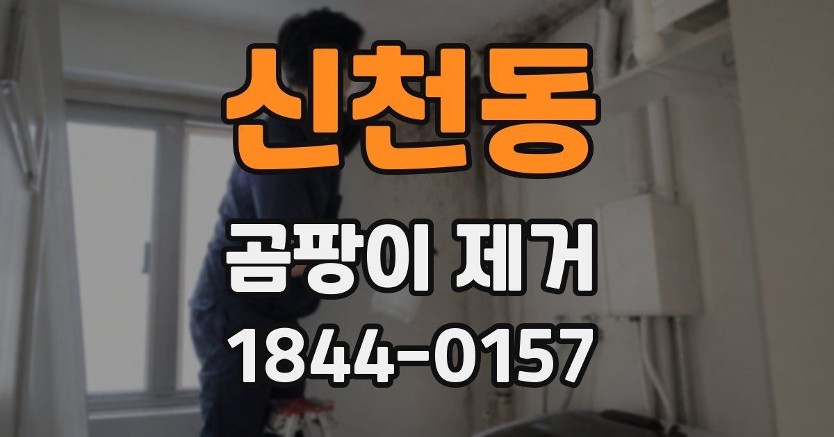 신천동 곰팡이 제거