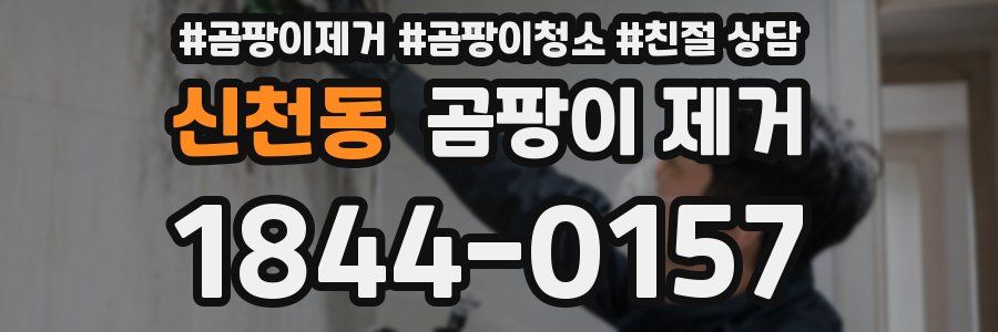 신천동 곰팡이 제거