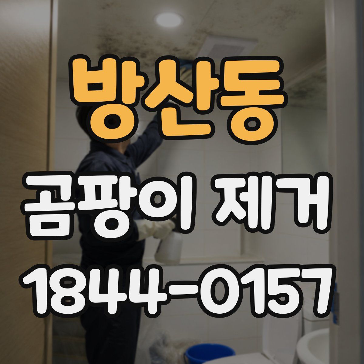 방산동 곰팡이 제거