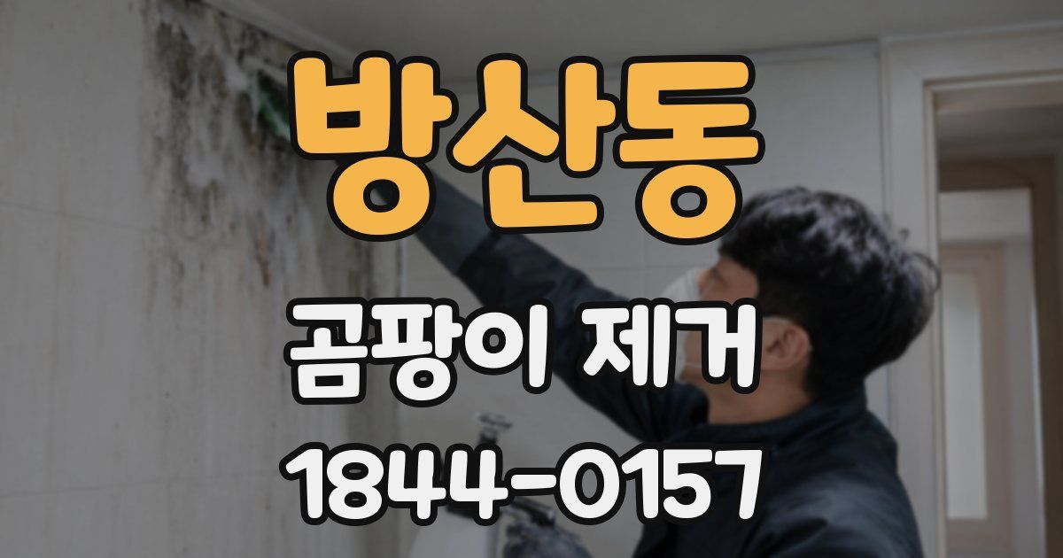 방산동 곰팡이 제거