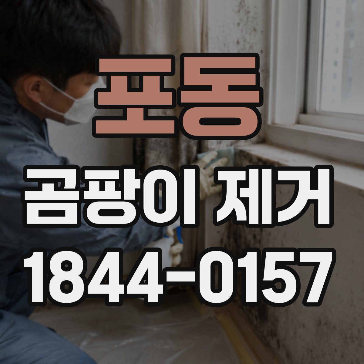 포동 곰팡이 제거