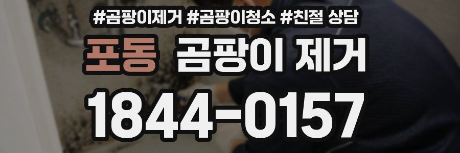 포동 곰팡이 제거