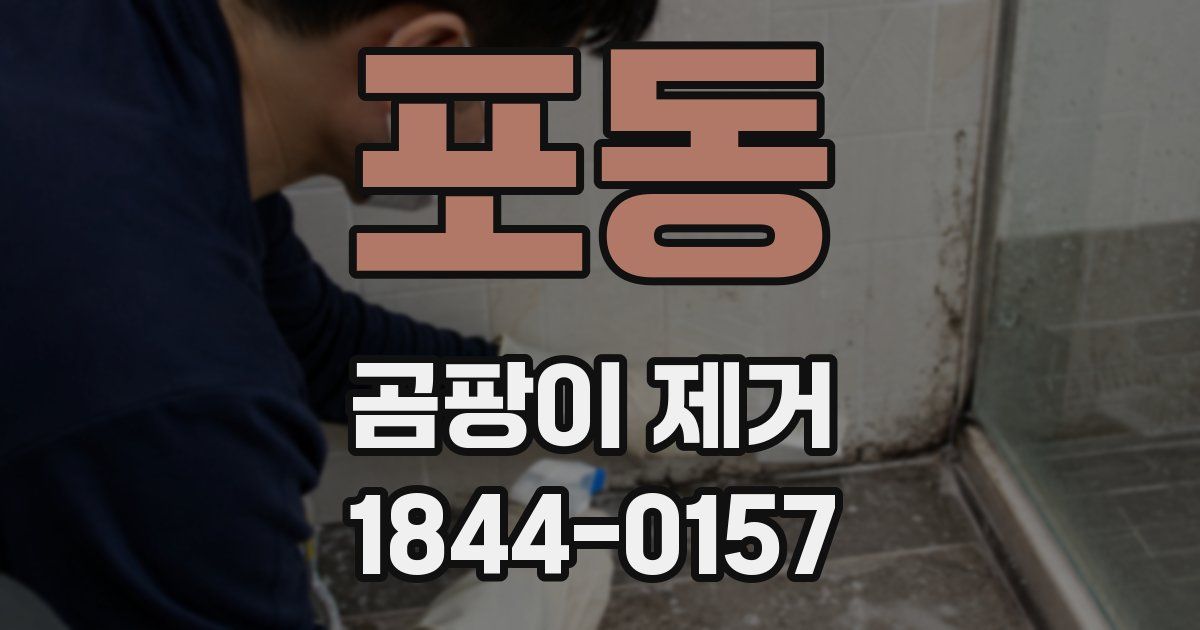 포동 곰팡이 제거