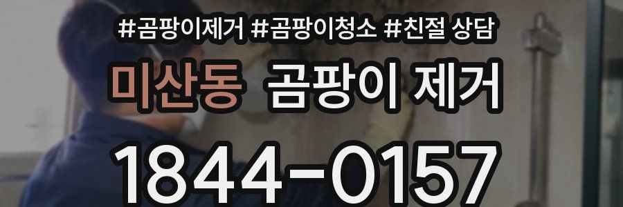 미산동 곰팡이 제거