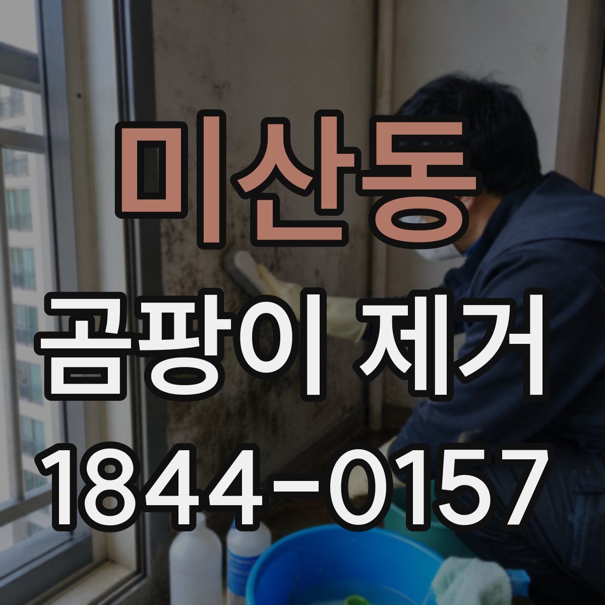 미산동 곰팡이 제거