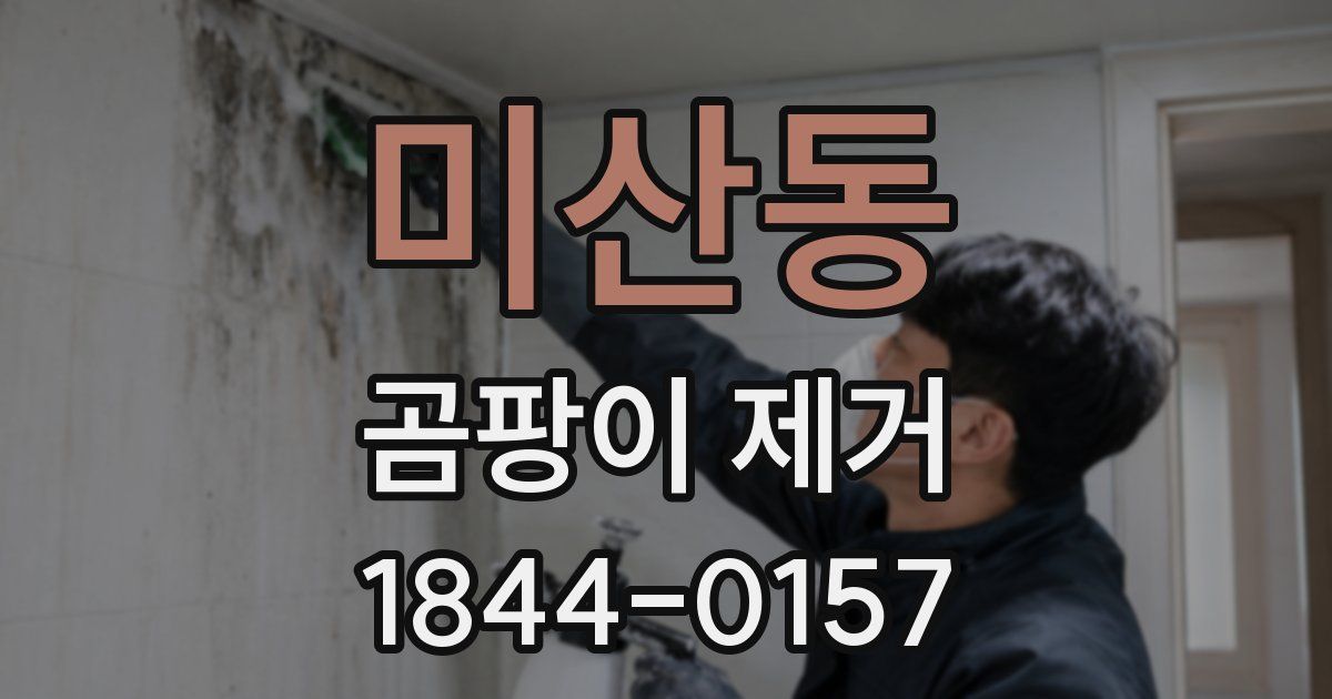 미산동 곰팡이 제거