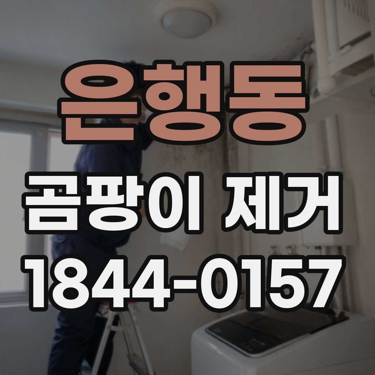 은행동 곰팡이 제거 비용이 달라지는 상황 정리