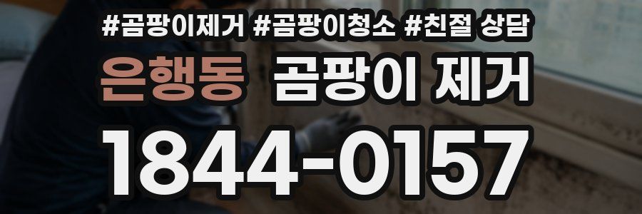 은행동 곰팡이 제거