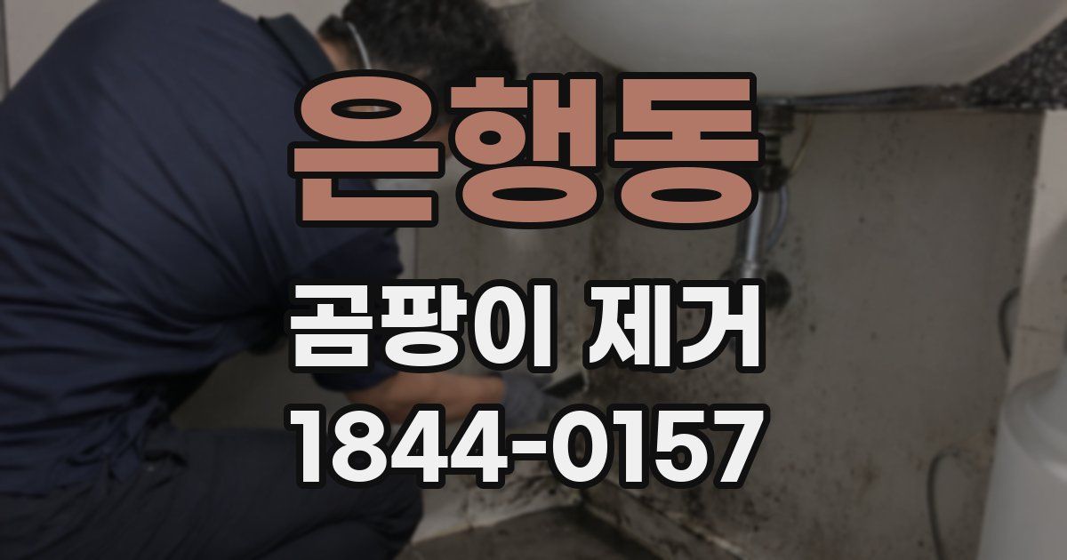 은행동 곰팡이 제거