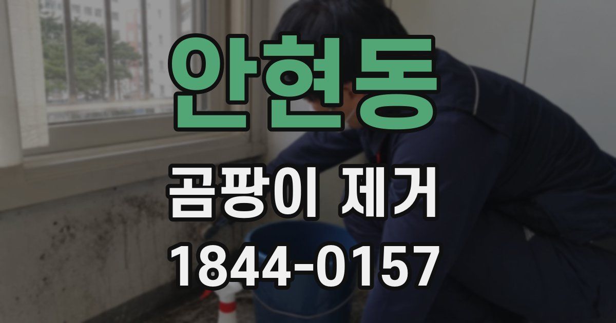 안현동 곰팡이 제거