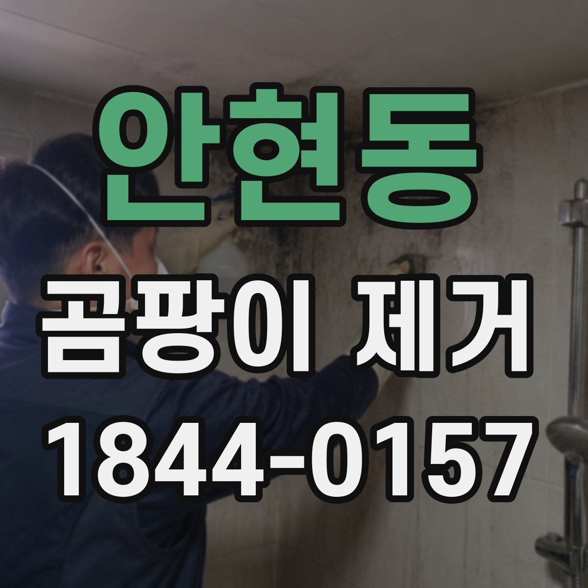 안현동 곰팡이 제거