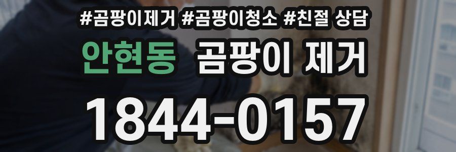 안현동 곰팡이 제거