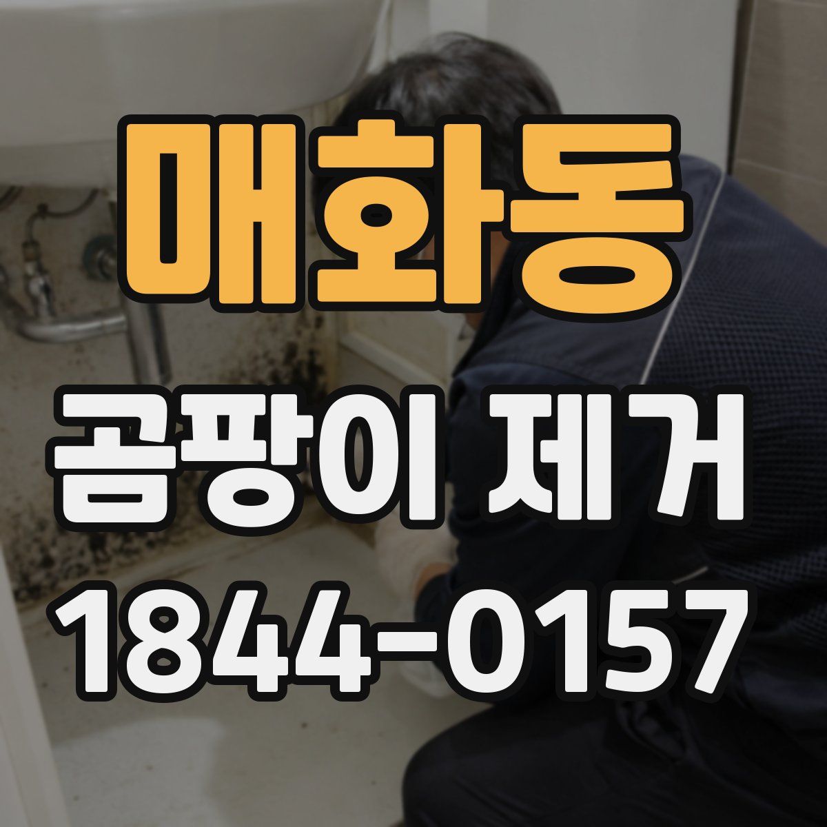 매화동 곰팡이 제거