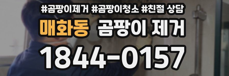 매화동 곰팡이 제거