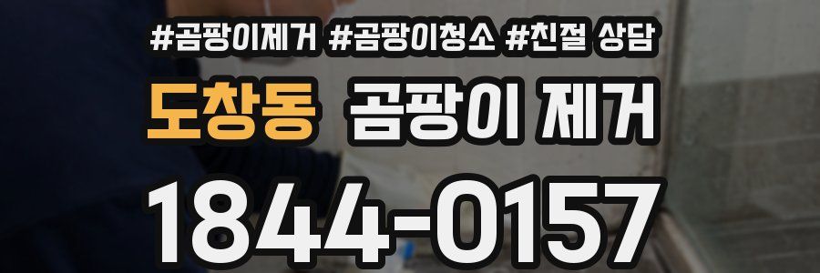 도창동 곰팡이 제거