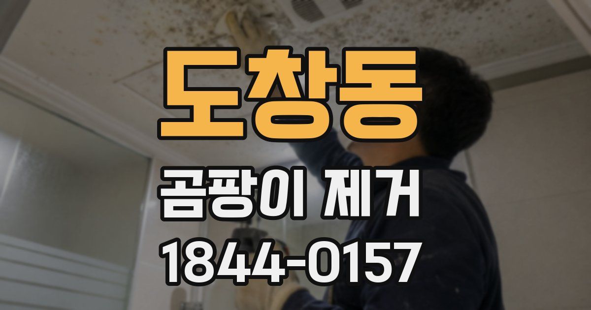 도창동 곰팡이 제거