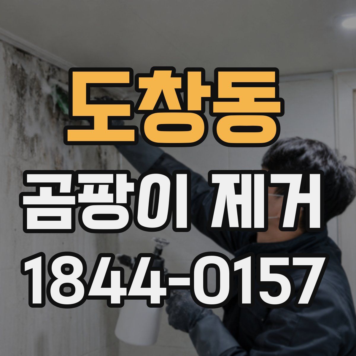 도창동 곰팡이 제거