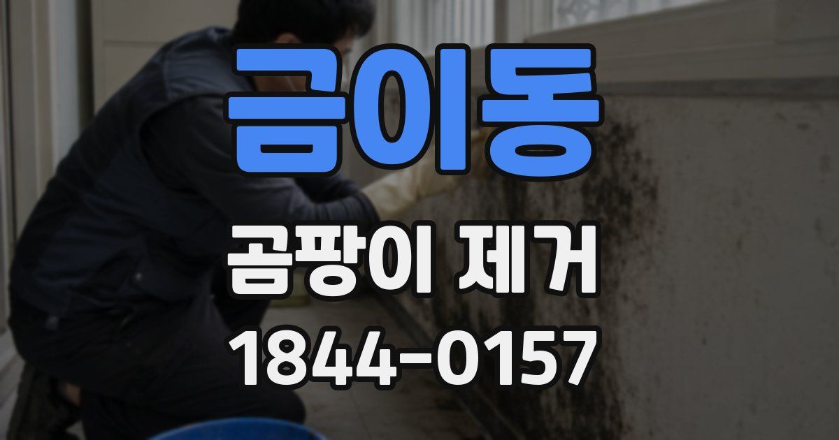 금이동 곰팡이 제거