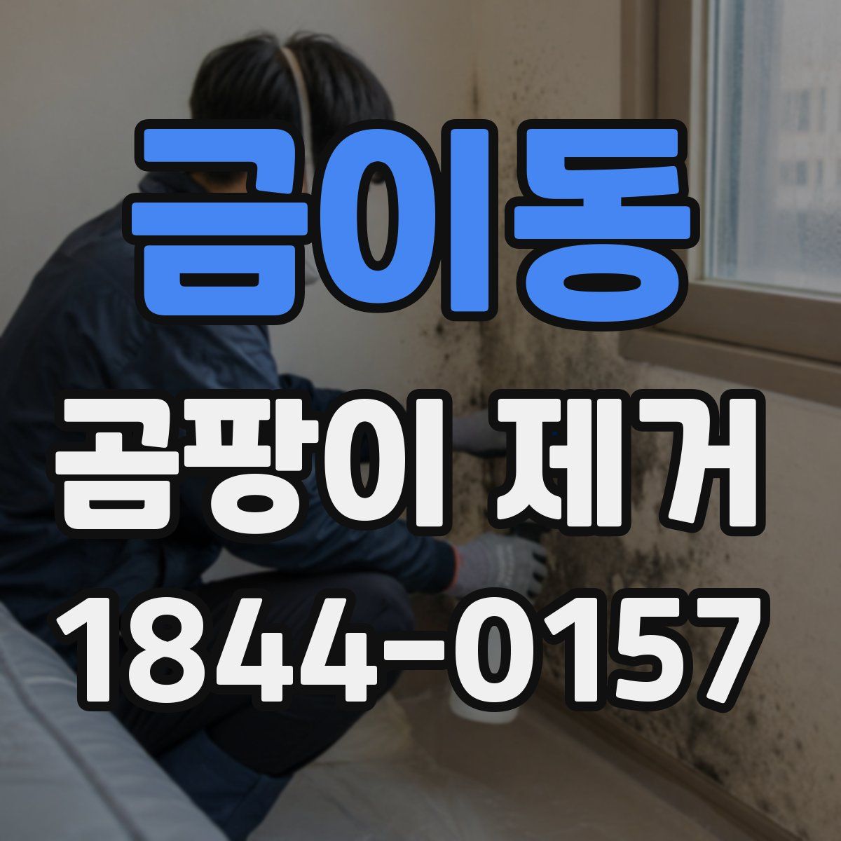 금이동 곰팡이 제거