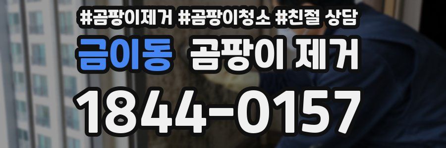 금이동 곰팡이 제거