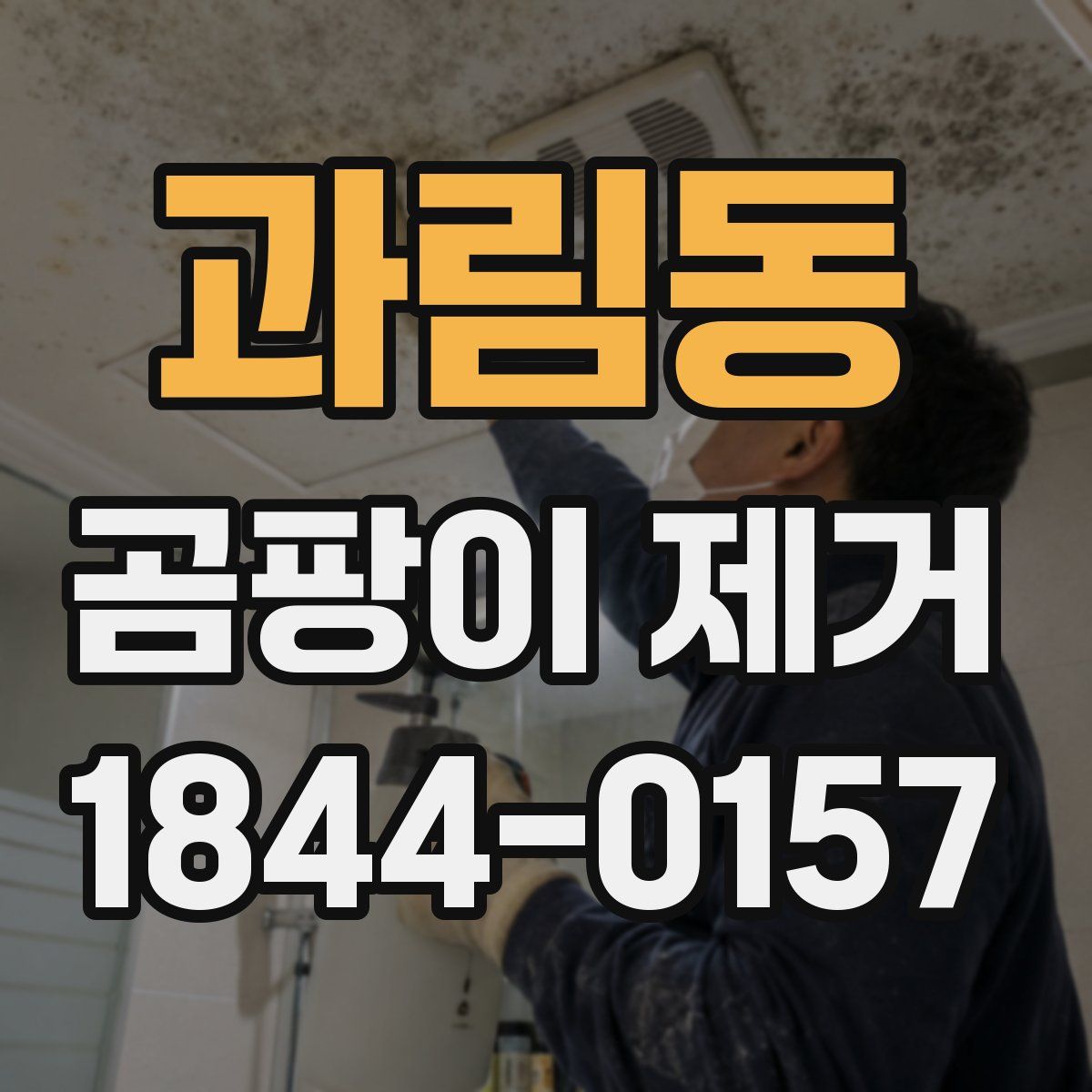 과림동 곰팡이 제거