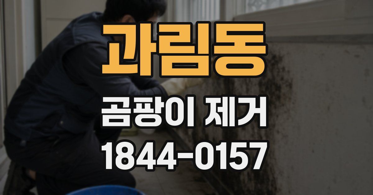 과림동 곰팡이 제거