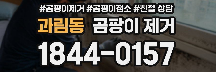 과림동 곰팡이 제거