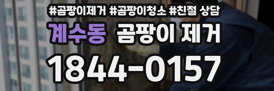 계수동 곰팡이 제거