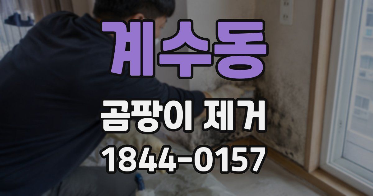 계수동 곰팡이 제거
