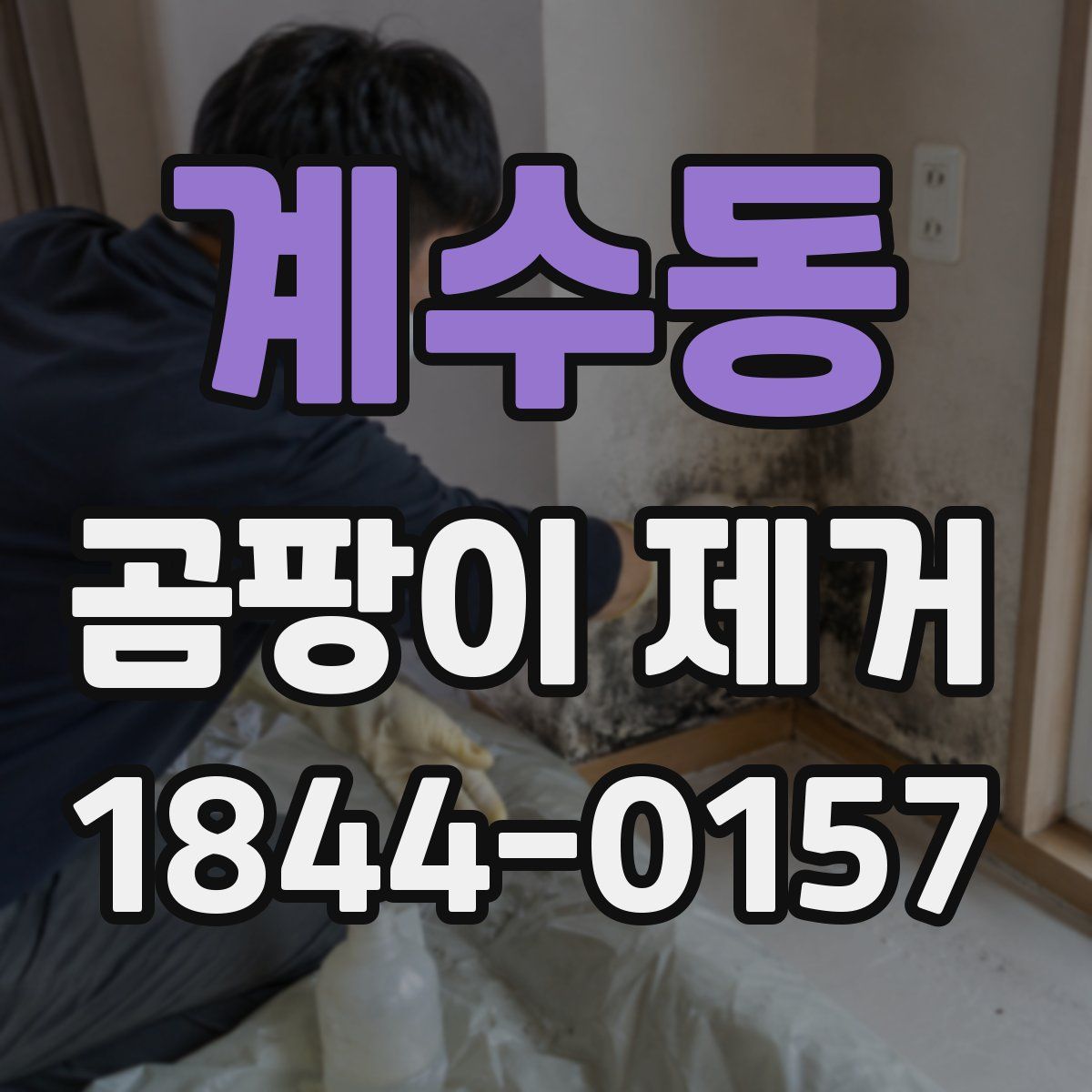 계수동 곰팡이 제거