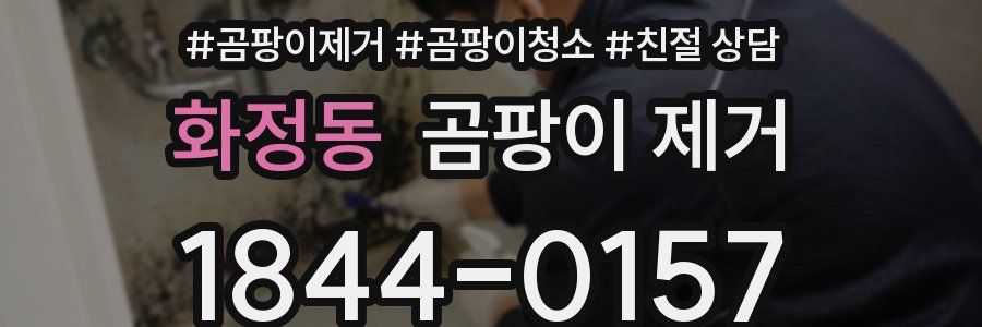 화정동 곰팡이 제거