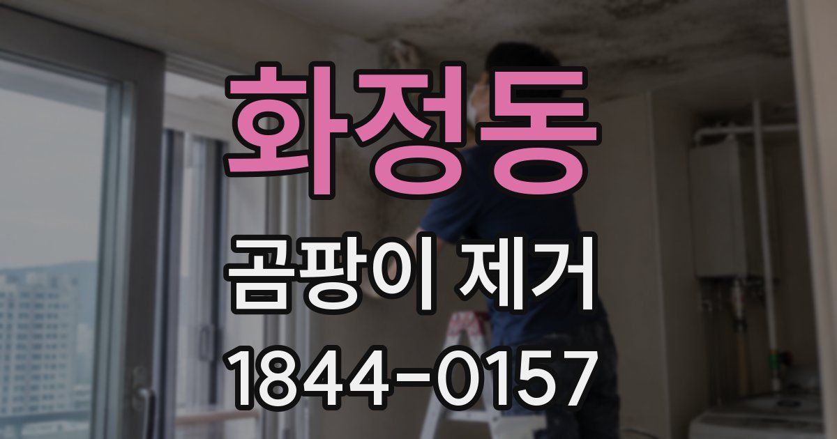 화정동 곰팡이 제거
