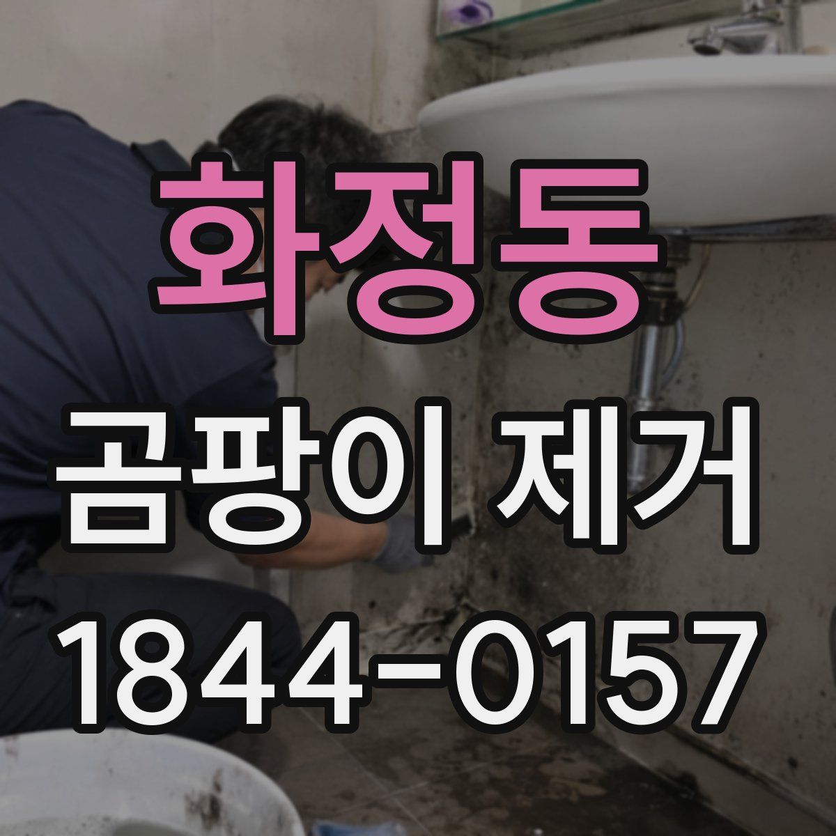 화정동 곰팡이 제거