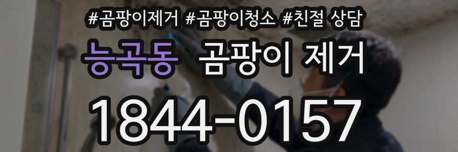 능곡동 곰팡이 제거